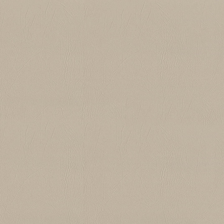 F5054 Ecru by Greenhouse Designer Fabric 100% Vinyl, Backing: 100% Polyester China 1,500,000 </p><p>Repeat: None 54" - Swanky Fabrics -