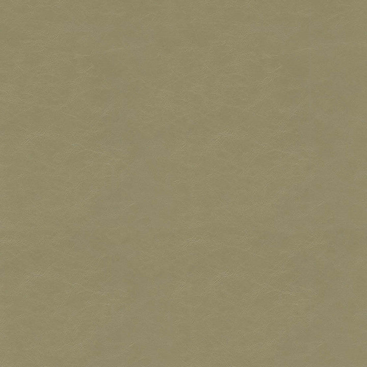 F5057 Cement by Greenhouse Designer Fabric 100% Vinyl, Backing: 100% Polyester China 1,500,000 </p><p>Repeat: None 54" - Swanky Fabrics -