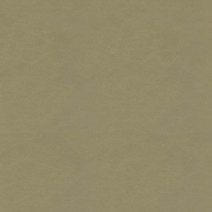 Greenhouse Fabric F5057 Cement