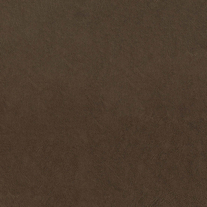 F5060 Saddle by Greenhouse Designer Fabric 100% Vinyl, Backing: 100% Polyester China 1,500,000 </p><p>Repeat: None 54" - Swanky Fabrics -