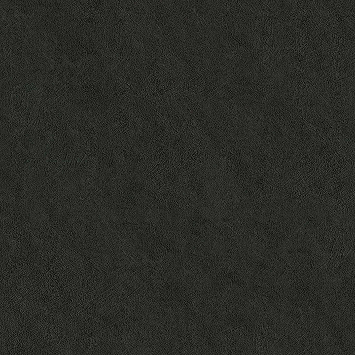 F5067 Charcoal Dust by Greenhouse Designer Fabric 100% Vinyl, Backing: 100% Polyester China 1,500,000 </p><p>Repeat: None 54" - Swanky Fabrics -
