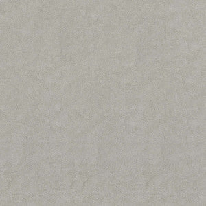 Greenhouse Fabric F5071 Sterling