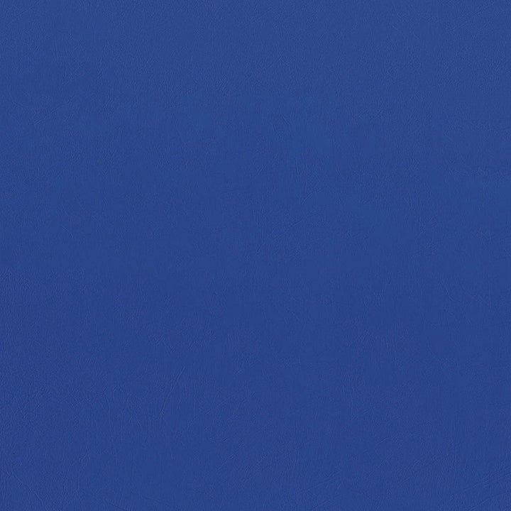 F5075 Lake Blue by Greenhouse Designer Fabric 100% Vinyl, Backing: 100% Polyester China 1,500,000 </p><p>Repeat: None 54" - Swanky Fabrics -