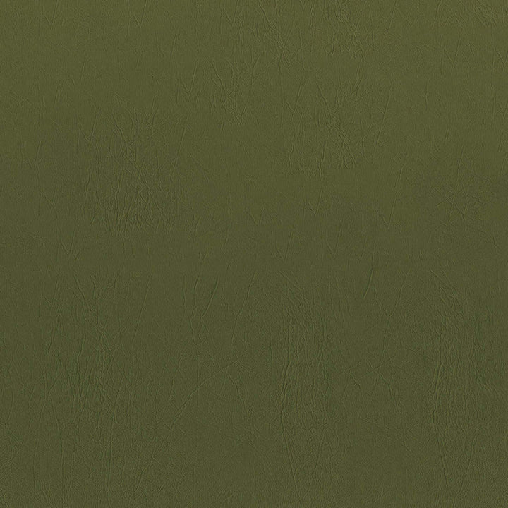 F5077 Fern by Greenhouse Designer Fabric 100% Vinyl, Backing: 100% Polyester China 1,500,000 </p><p>Repeat: None 54" - Swanky Fabrics -