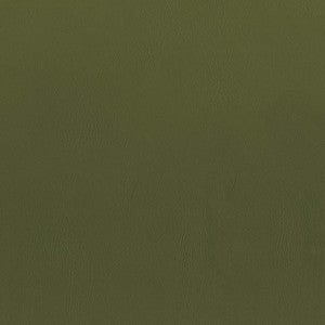 Greenhouse Fabric F5077 Fern
