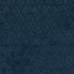 Greenhouse Fabric F5159 Sea