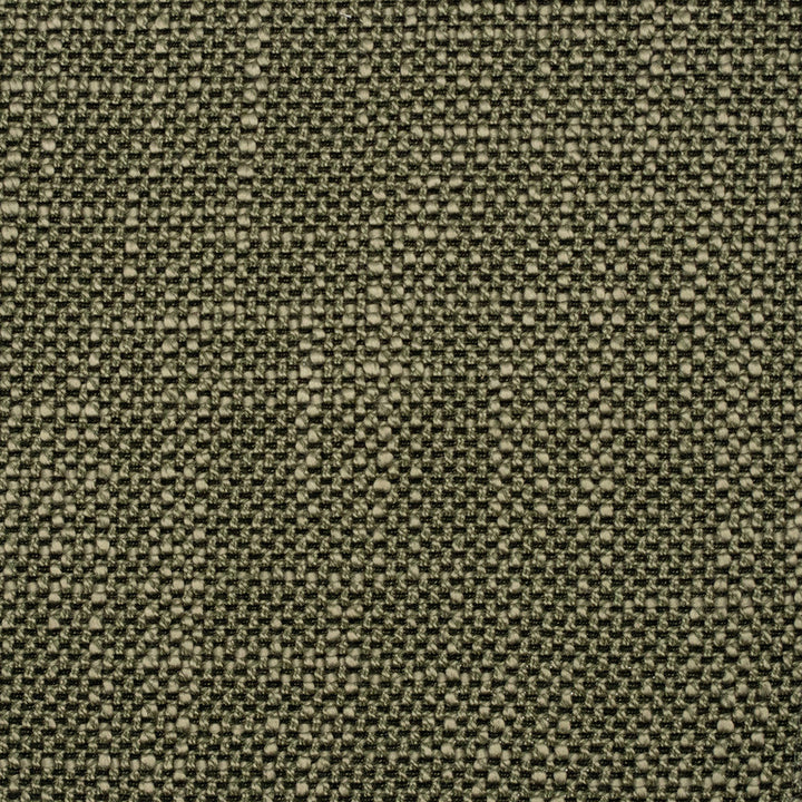 F5266 Alpine by Greenhouse Designer Fabric 100% Polyester China 50,000 </p><p>Repeat: None 57" - Swanky Fabrics -