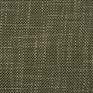 Greenhouse Fabric F5266 Alpine