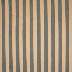 Greenhouse Fabric F5287 Titanium