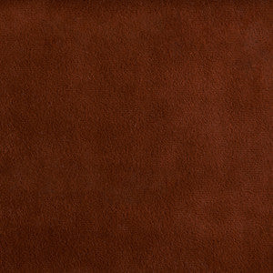 Greenhouse Fabric F5342 Umber