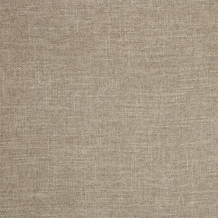 F5401 Pebble by Greenhouse Designer Fabric 100% Polyester China 100,000 </p><p>Repeat: None 54" - Swanky Fabrics -