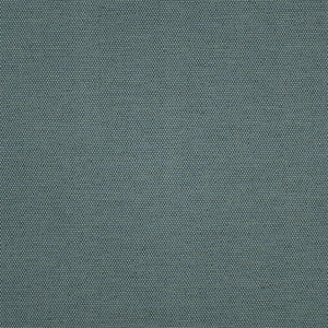 Greenhouse Fabric F5451 Navy