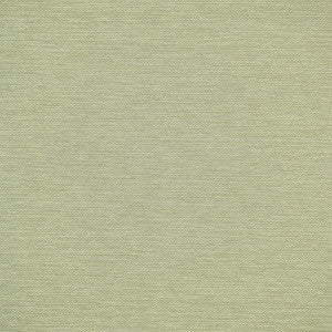 Greenhouse Fabric F5455 Glacier