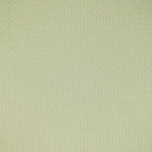 Greenhouse Fabric F5456 Snow Day