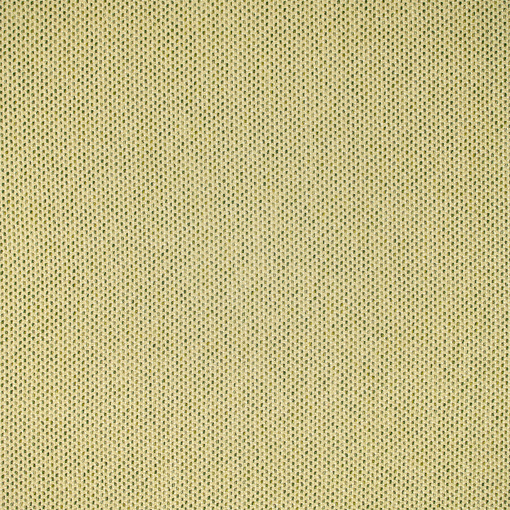 F5464 Grass by Greenhouse Designer Fabric 98.58% Olefin, 1.42% Polyester USA 51,000 </p><p>Repeat: .188" H, .188" V 54" - Swanky Fabrics -