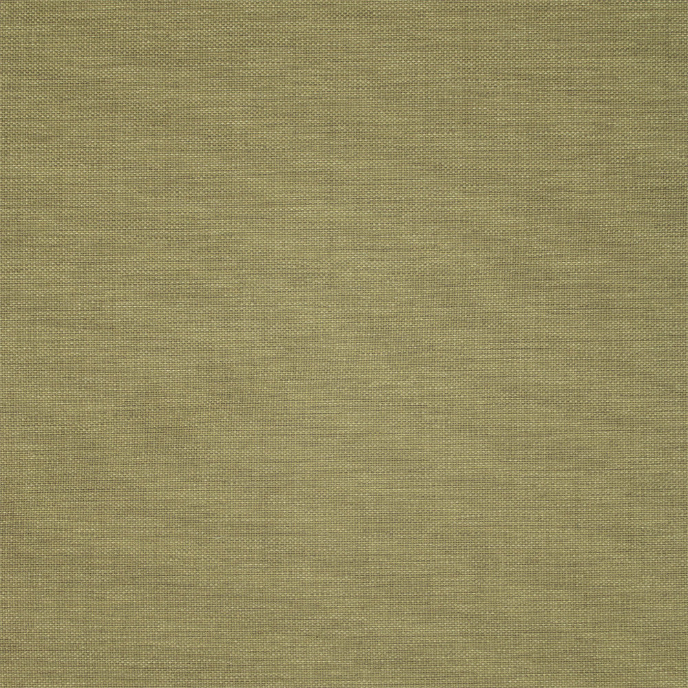F5467 Forest by Greenhouse Designer Fabric 100% Olefin USA 72,000 </p><p>Repeat: .188" H, .211" V 54" - Swanky Fabrics -