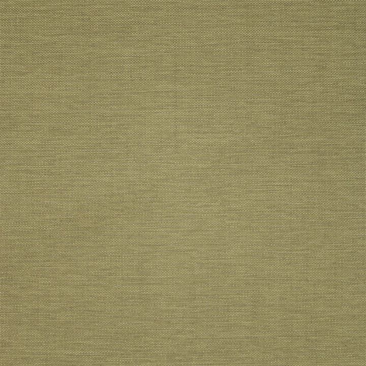 F5467 Forest by Greenhouse Designer Fabric 100% Olefin USA 72,000 </p><p>Repeat: .188" H, .211" V 54" - Swanky Fabrics -