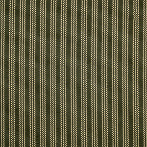 Greenhouse Fabric F5472 Carbon