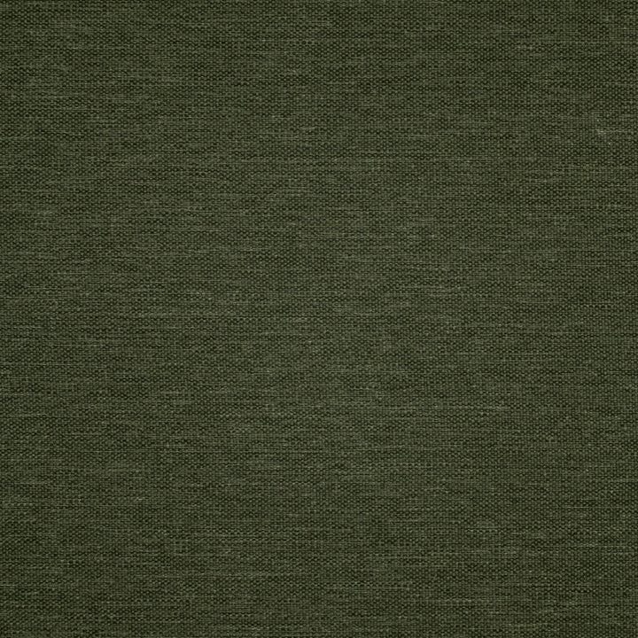 F5473 Graphite by Greenhouse Designer Fabric 100% Olefin USA 108,000 </p><p>Repeat: .063" H, .063" V 56" - Swanky Fabrics -