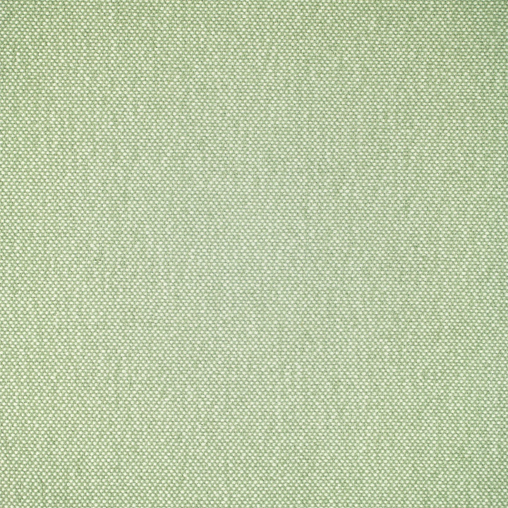 F5483 Celadon by Greenhouse Designer Fabric 55.3% Olefin, 44.7% Polyester USA 33,000 </p><p>Repeat: .286" H, .125" V 55" - Swanky Fabrics -
