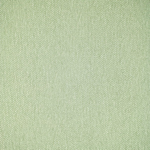 Greenhouse Fabric F5483 Celadon