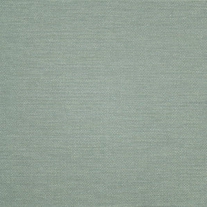 Greenhouse Fabric F5490 Glacier