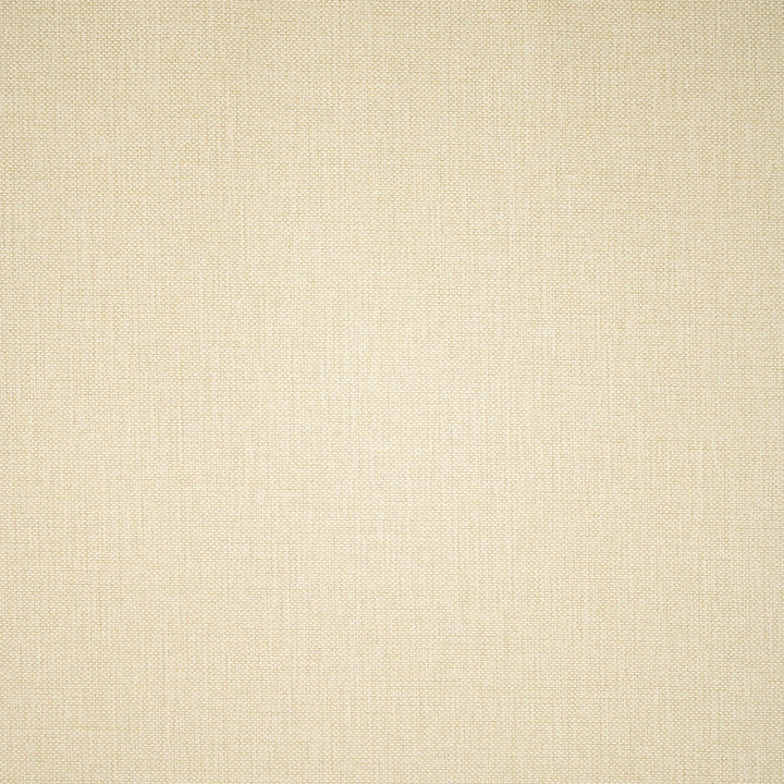 F5518 Straw by Greenhouse Designer Fabric 100% Olefin USA 51,000 </p><p>Repeat: .063" H, .063" V 55" - Swanky Fabrics -