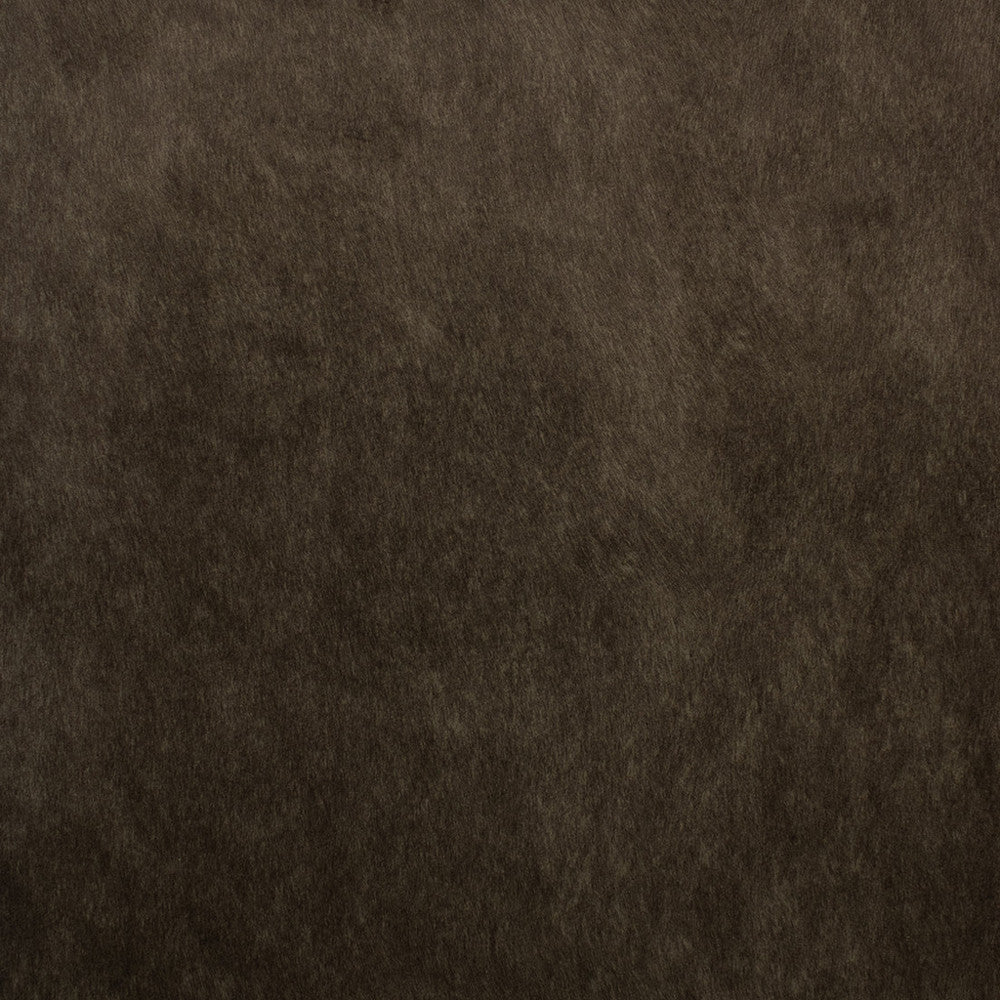 F5572 Espresso by Greenhouse Designer Fabric 100% Polyester China 50,000 </p><p>Repeat: None 55" - Swanky Fabrics -