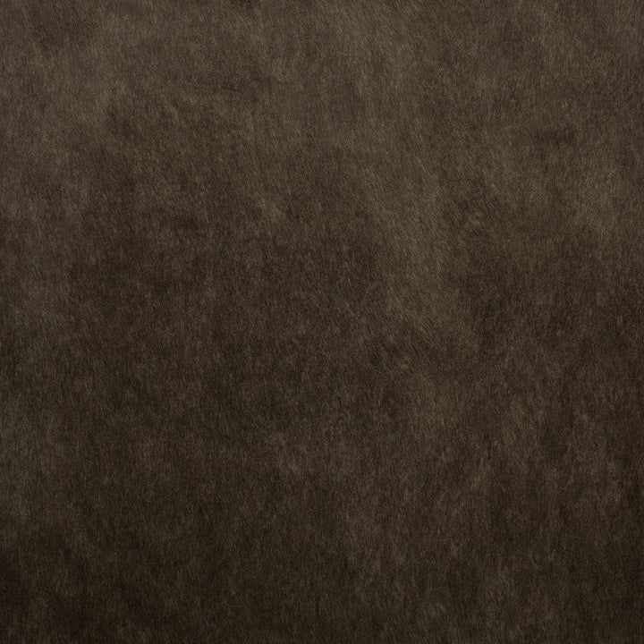 F5572 Espresso by Greenhouse Designer Fabric 100% Polyester China 50,000 </p><p>Repeat: None 55" - Swanky Fabrics -