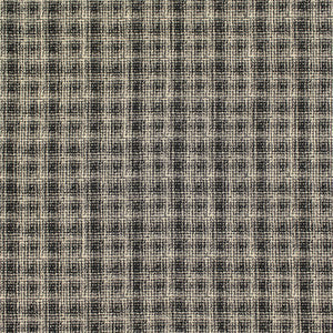 Greenhouse Fabric F5636 Onyx