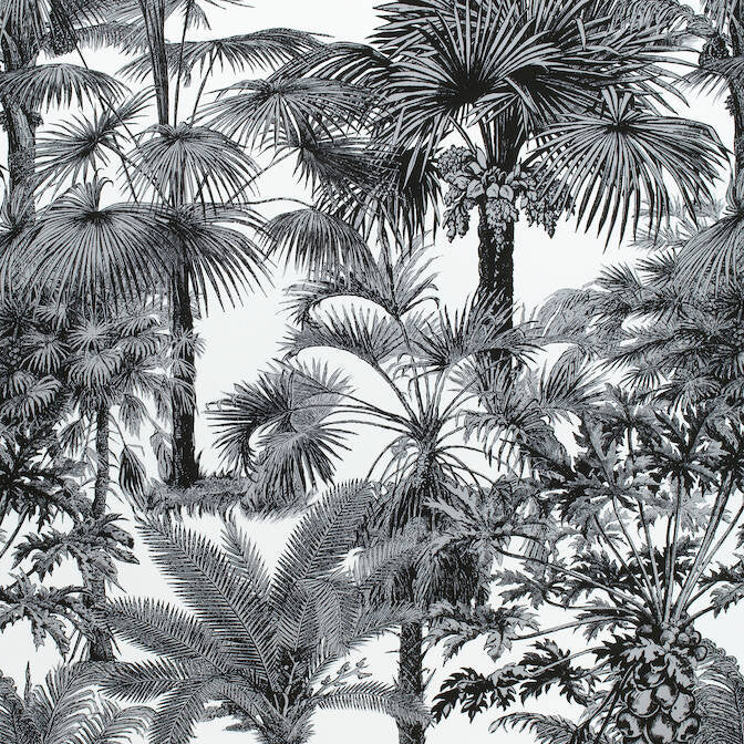 Palm Botanical Black F910102 by Thibaut Fabric Thibaut Fabric Palm Botanical Black F910102Fabric Tropics Fabric Book 100% Cotton ITALY </p><p>Repeat: V: 35 54 - Fabric Carolina -