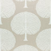 Thibaut Fabric Mulberry Tree Natural F910601
