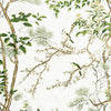 Thibaut Fabric Katsura Green and White F913621