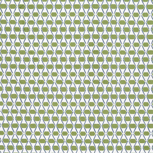 Thibaut Fabric Denver Green and Blue F914327