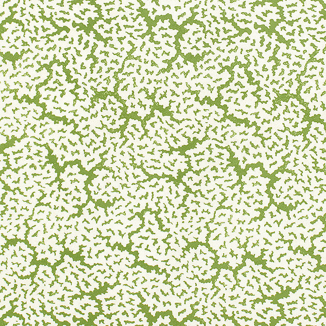 Maldives Green F942041 by Thibaut Fabric Thibaut Fabric Maldives Green F942041Fabric Sojourn Fabric Book 100% Cotton ITALY </p><p>Repeat: V: 21.75 53 - Fabric Carolina -