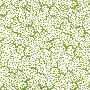 Thibaut Fabric Maldives Green F942041