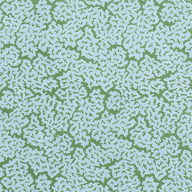 Maldives Blue and Green F942044 by Thibaut Fabric Thibaut Fabric Maldives Blue and Green F942044Fabric Sojourn Fabric Book 100% Cotton ITALY </p><p>Repeat: V: 21.75 53 - Fabric Carolina -