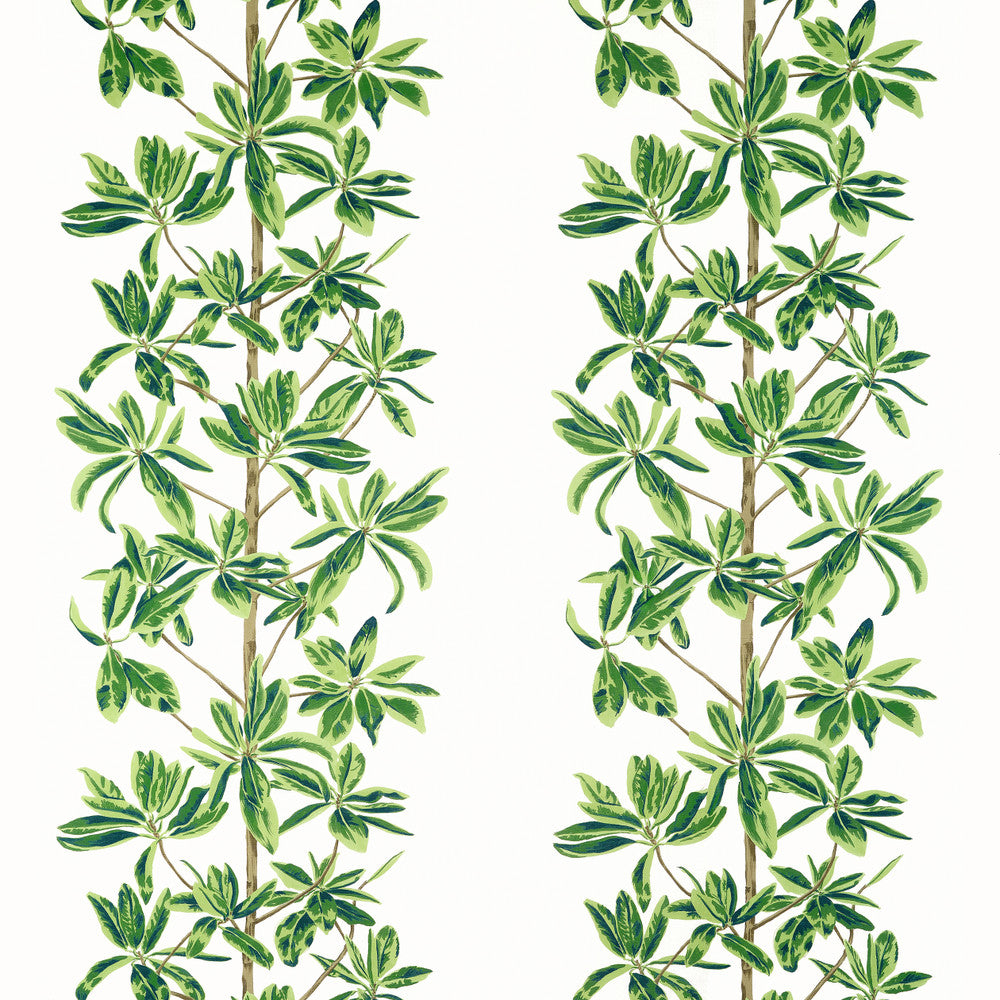 Mangrove Tree Green and White F945035 by Thibaut Fabric Thibaut Fabric Mangrove Tree Green and White F945035Fabric WANDERLUST FABRIC BOOK U.S.A </p><p>Repeat: H: 27  in  (68.58  cm), V: 34.75  (88.27  cm) 54  in  (137.16  cm) - Fabric Carolina -