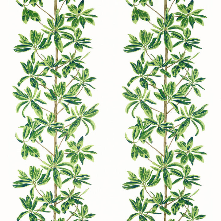 Mangrove Tree Green and White F945035 by Thibaut Fabric Thibaut Fabric Mangrove Tree Green and White F945035Fabric WANDERLUST FABRIC BOOK U.S.A </p><p>Repeat: H: 27  in  (68.58  cm), V: 34.75  (88.27  cm) 54  in  (137.16  cm) - Fabric Carolina -
