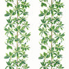 Thibaut Fabric Mangrove Tree Green and White F945035
