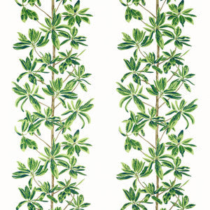 Thibaut Fabric Mangrove Tree Green and White F945035