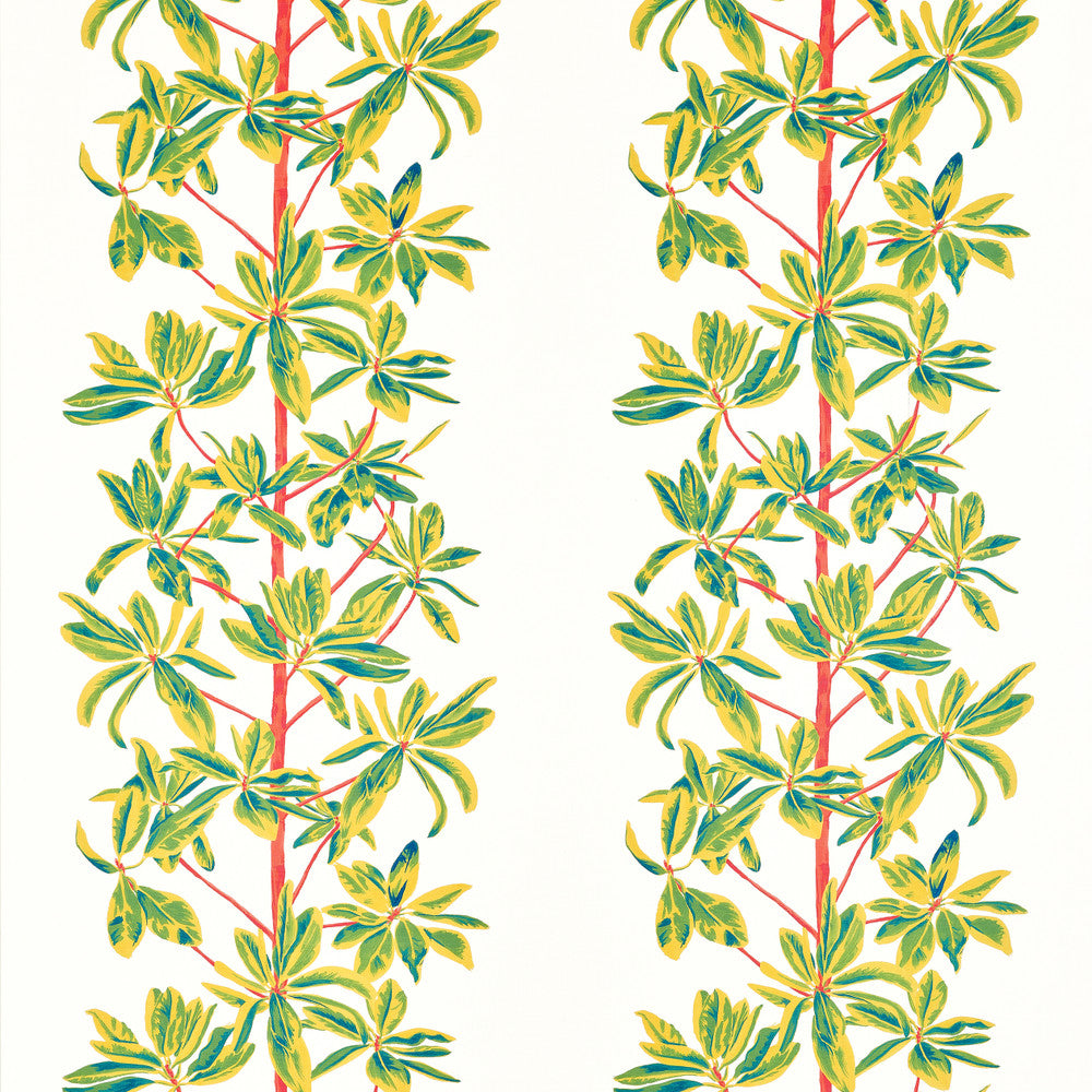 Mangrove Tree Coral F945036 by Thibaut Fabric Thibaut Fabric Mangrove Tree Coral F945036Fabric WANDERLUST FABRIC BOOK U.S.A </p><p>Repeat: H: 27  in  (68.58  cm), V: 34.75  (88.27  cm) 54  in  (137.16  cm) - Fabric Carolina -