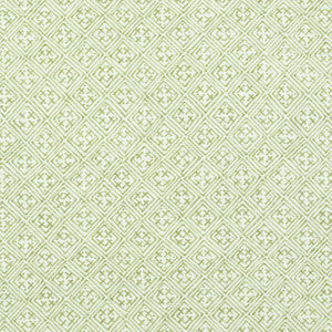 Thibaut Fabric Laos Spring Green F972615