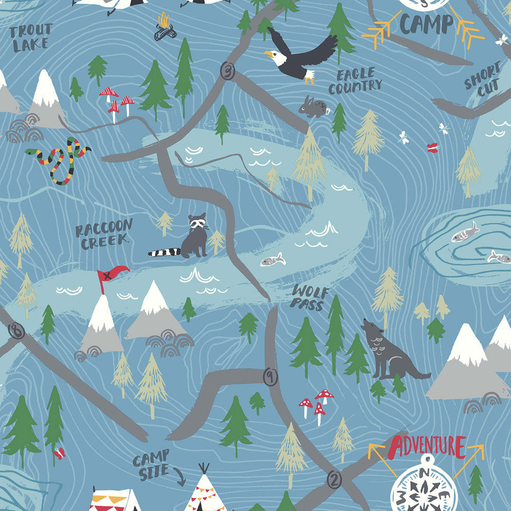 Campground Bluebird FA41902 by Seabrook Designs Designer Wallpaper