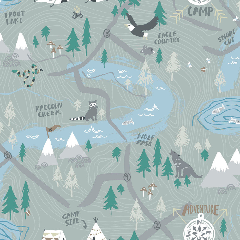 Campground Steel Gray FA41908 by Seabrook Designs Designer Wallpaper
