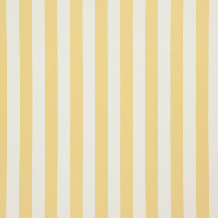 Falsetto 16J7611 by JF Designer Fabric Le Cirque Book 59% Cotton, 41% Polyester India 50000 Horizontal: 2 and Vertical: 55 - Swanky Fabrics -