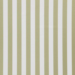 JF Fabric Falsetto 75J7611