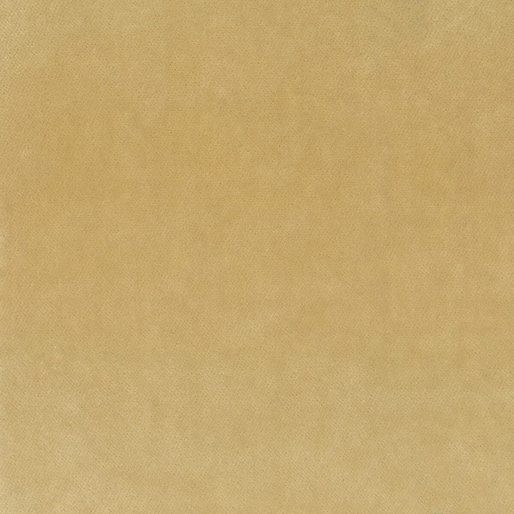Faraday 2 Champagne by Stout Designer Fabric COMFORTABLE LIVING BLUE LAGOON 82%POL 18%COT SOUTH KOREA FLAME RETARDANT-CA BULLETIN 117-SECTION E FLAME RETARDANT-U.F.A.C. CLASS 1 WYZENBEEK 100 000 DOUBLE RUB WEAR TEST (HEAVY DUTY) </p><p>Repeat: 0 54 in - Swanky Fabrics -