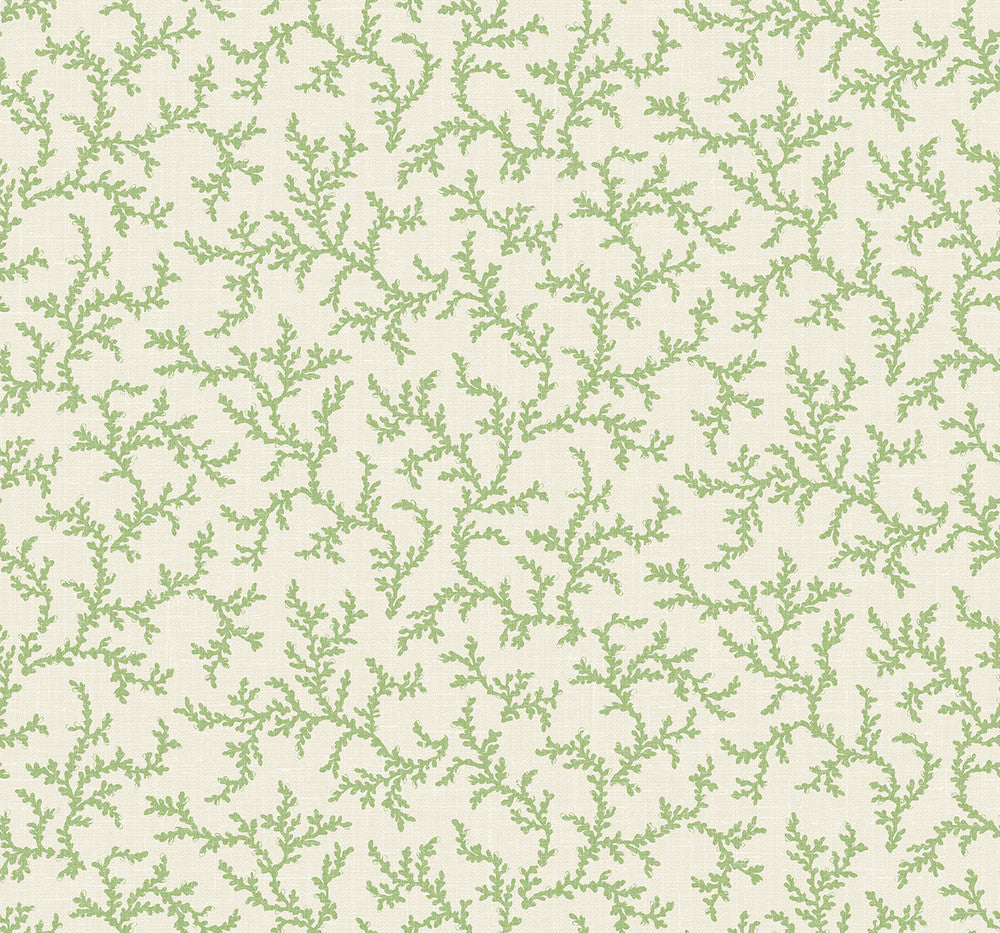 Corail Herb FC62104 by Seabrook Designs Designer Wallpaper
