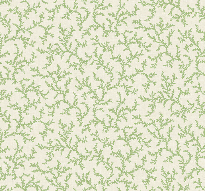 Corail Herb FC62104 by Seabrook Designs Designer Wallpaper